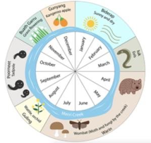 Wurundjeri_calendar.jpeg