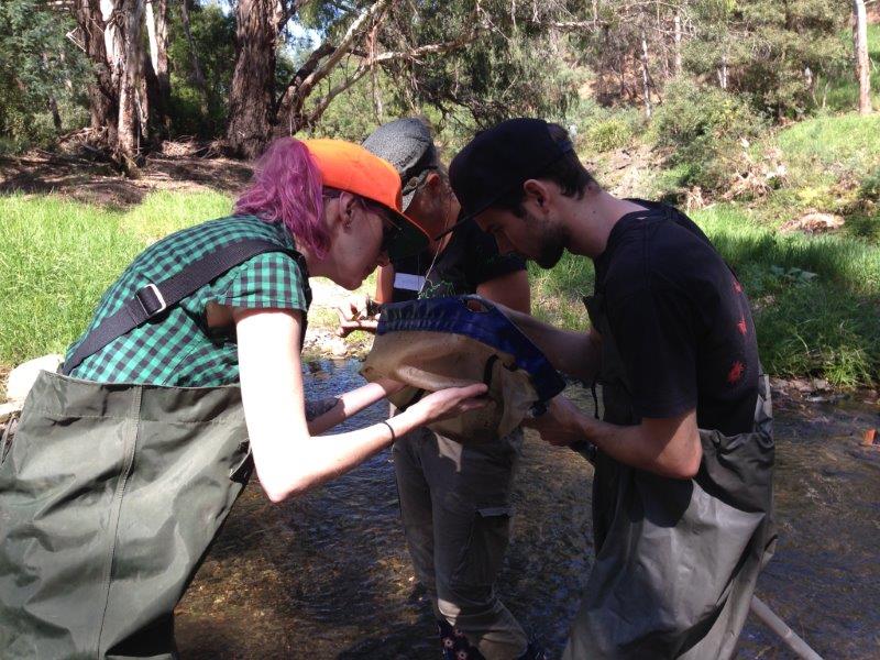 amy and harley collecitng bugs on net