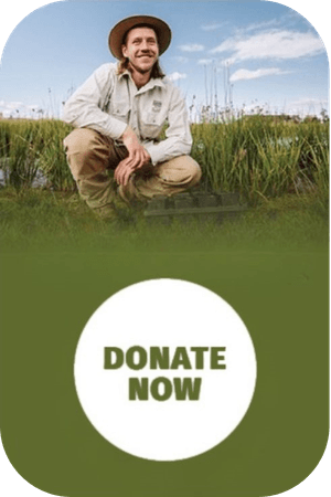 Help us sow the seeeds of a wetland - Donate now to the 2026 fundraising campaign