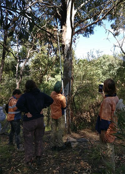 corporate volunteering groups 2