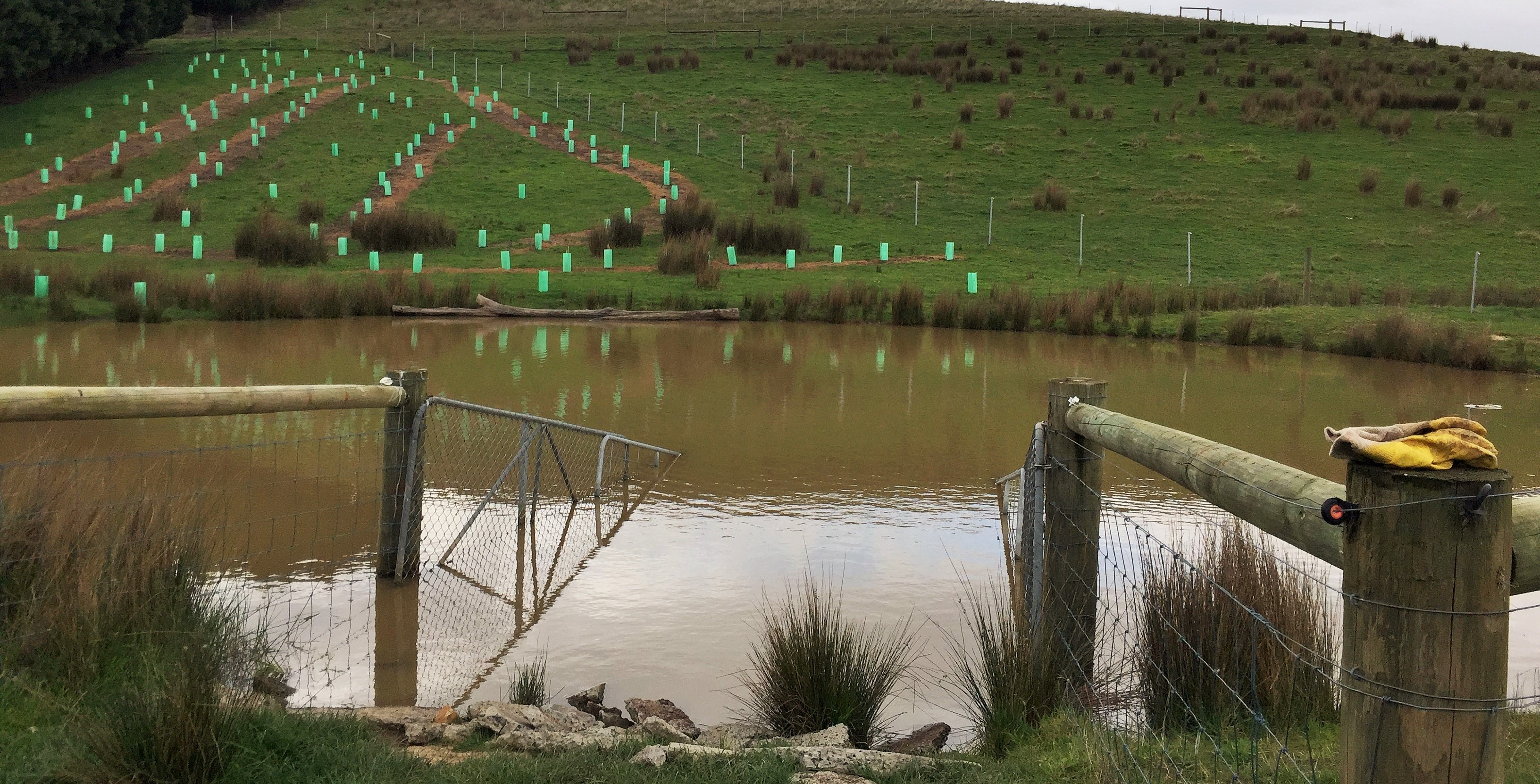 farm dam w reveg hardened access point 2