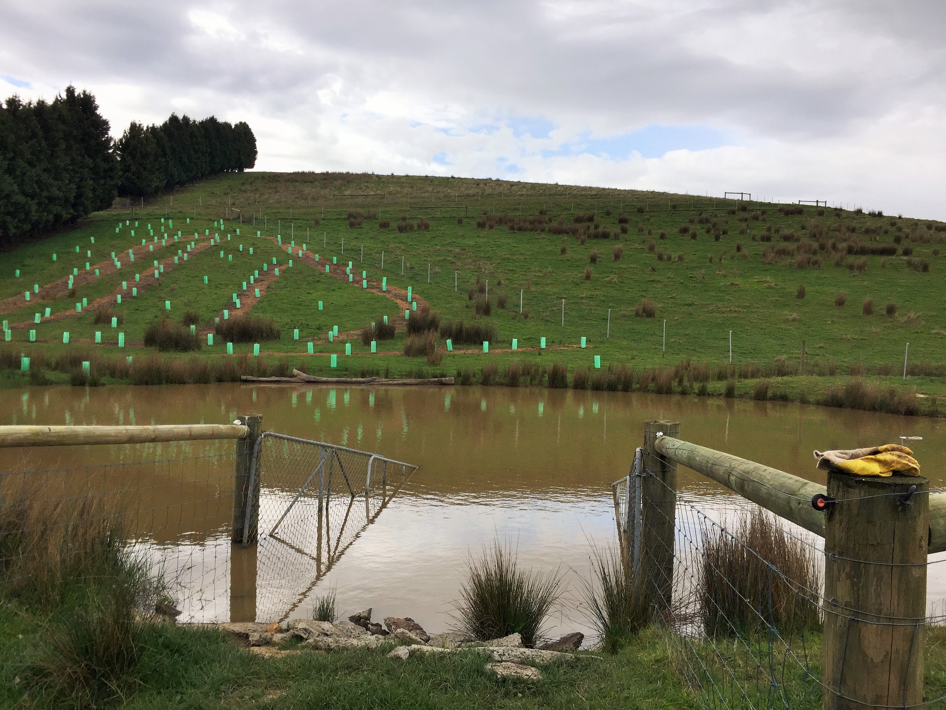 farm dam w reveg hardened access point Markham