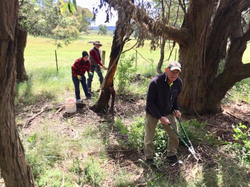 WEG rail reserve working bee 2021 1 500px