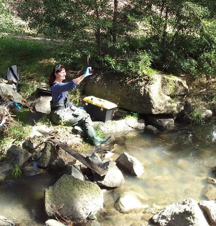 Five Mile Creek sampling Julia April 2020