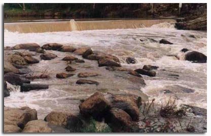 fish ladder at Dight's Falls