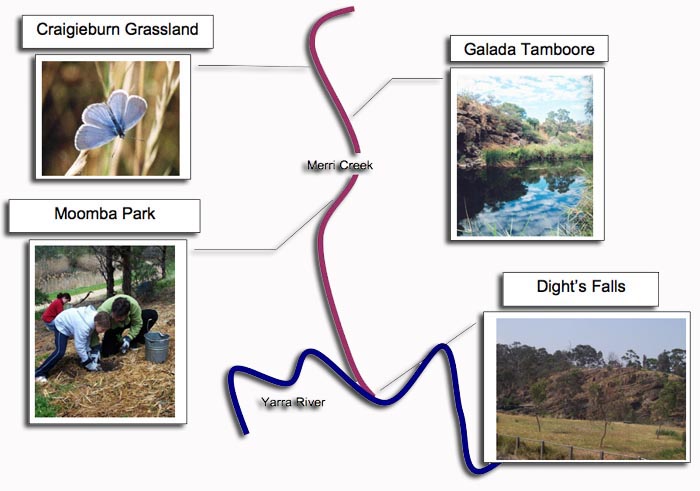 Merri Creek Bioregion
