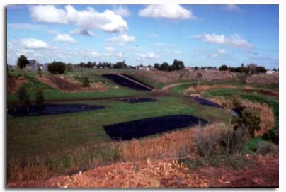 Moomba Park consists of approximately 30 ha of open space on the western side of the Merri Creek, in Fawkner.