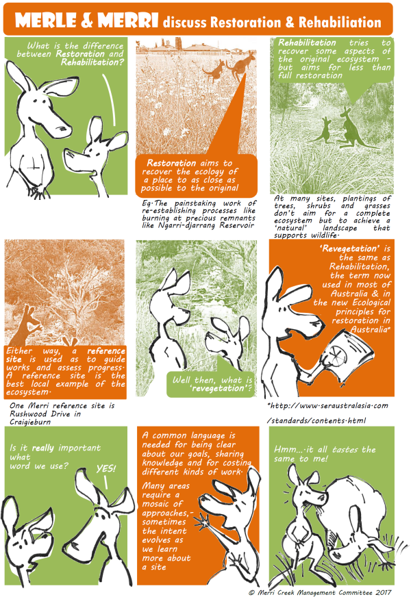 What is the difference between Restoration and Rehabilitation v2 600