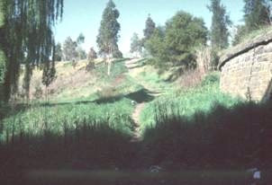 Path under Heidleberg Road bridge, Clifton Hill 1982
