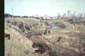 Yarra Bend parklands, Clifton Hill 1982