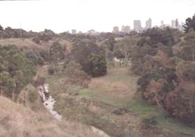 Yarra Bend parklands, Clifton Hill 1996