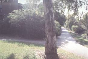 Albion Street, East Brunswick 1999