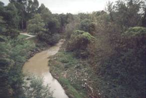 Blyth Street, East Brunswick 2001