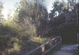 St Georges Road bridge, Nth Fitzroy 1996