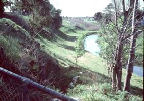 Path to St Georges Road , Nth Fitzroy 1982