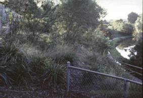 Path to St Georges Road , Nth Fitzroy 1993