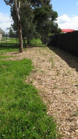 Thomastown Sec planting 2013