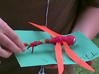 A replica of a dragonfly