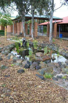 indigenous school garden