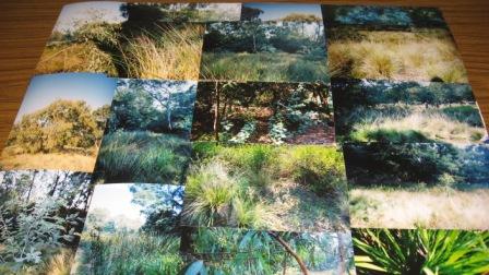 Photos taken by students of their natural surrounds