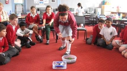 Students add pollutants to the water to see how the creek is effected