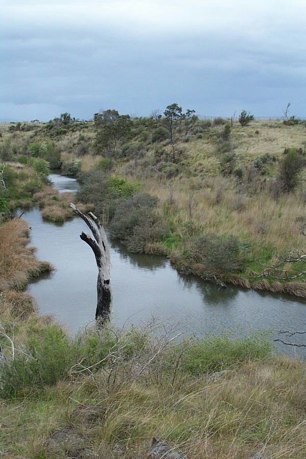 Merri Creek, Galada Tamboore, (Wurundjeri language for Stream Waterhole) Thomastown and Campbellfield. Merri Creek, Galada Tamboore, (Wurundjeri language for Stream Waterhole) Thomastown and Campbellfield. Merri Creek Management Committee.