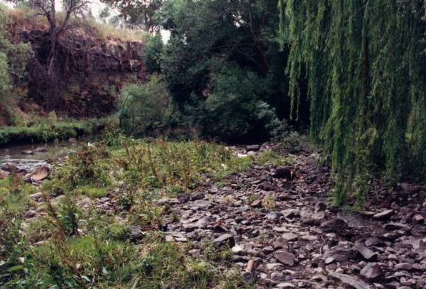 Channel Gravels derived from outcrops at Rushall Station, North Fitzroy, Victoria, Australia