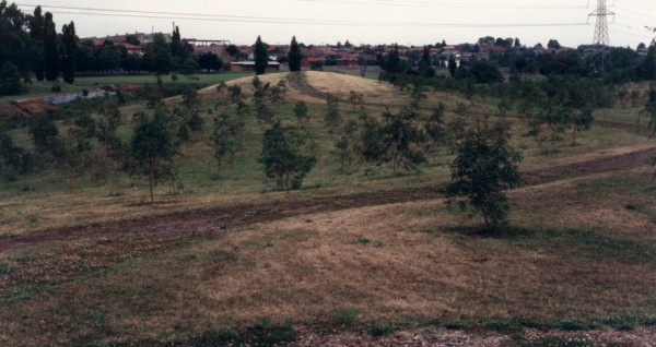 Former channel of Merri Creek and residual hill at Site 10