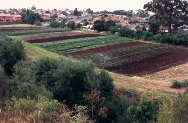 Alluvial terrace at Harding Street, Coburg, Victoria, Australia