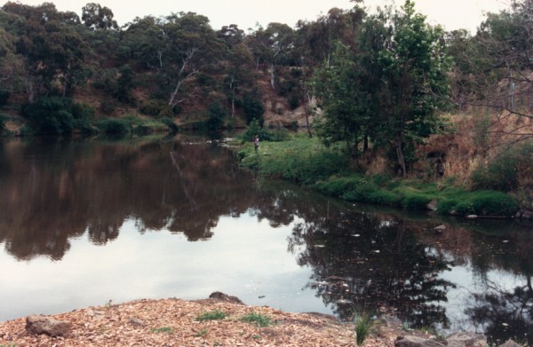 Merri Creek digitate delta