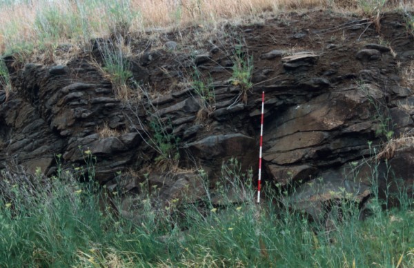 Inclined joints on lava flow at De Chene Reserve, Coburg, Victoria, Australia