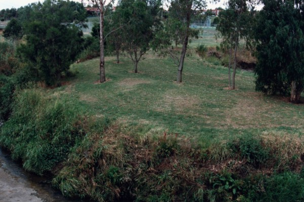 Incised goose-neck meander near Outlook Drive, Coburg, Victoria Australia
