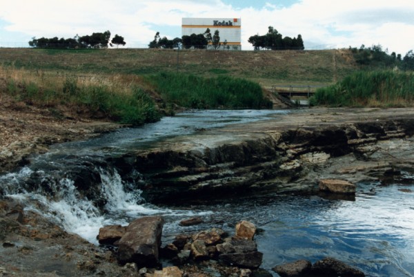 Dipping Melbourne Formation forming a waterfall at Lower Edgars Creek, Coburg North, Victoria, Australia