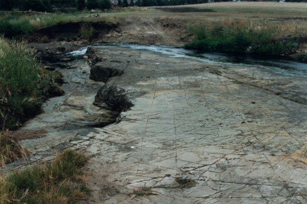 Vehicle track crossing dipping Melbourne Formation beds at Lower Edgars Creek, North Coburg, Victoria, Australia