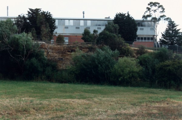Cliff of Melbourne Formation on Edgars Creek North Coburg, Victoria, Australia