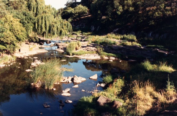 Lava flows in bed and banks of Merri Creek at Lake Reserve Coburg, Victoria, Australia