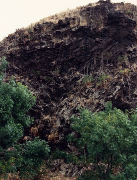 Radial basalt columns at Merri Creek in Yarra Bend Park