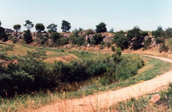 Basalt Escarpment on Merri Creek at Moomba Park Reserve, Fawkner, Victoria, Australia