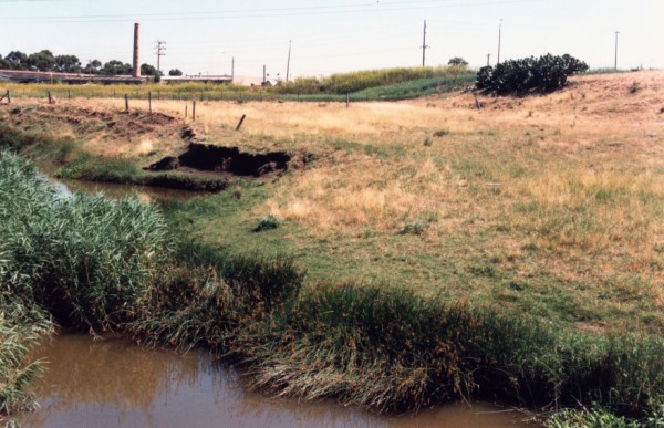 Alluvial Terrace on Merri Creek at Mahoneys Road, Reservoir, Victoria, Australia