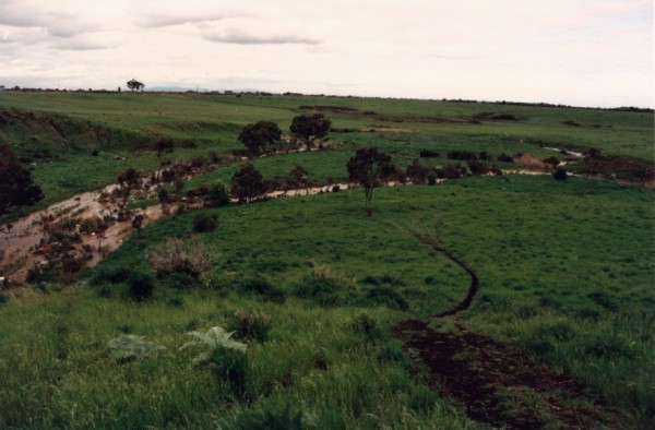Meander cutoff and former channel at Galada Tamboore, Thomastown, Victoria, Australia
