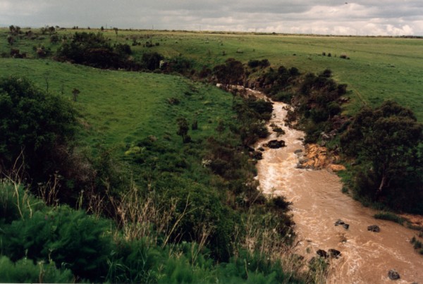 Terraces on Merri Creek north of Galada Tamboore, Campbellfield/Thomastown, Victoria, Australia