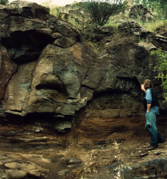 Basalt outcropping on Merri Creek north of Galada Tamboore, Thomastown, Victoria, Australia