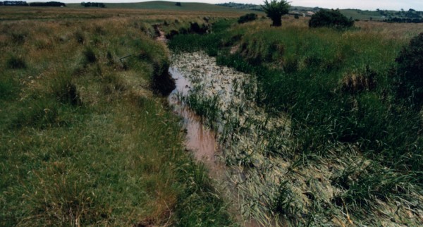 Terraced floodplain on Merri Creek north of Beveridge Road, Merriang, Victoria, Australia