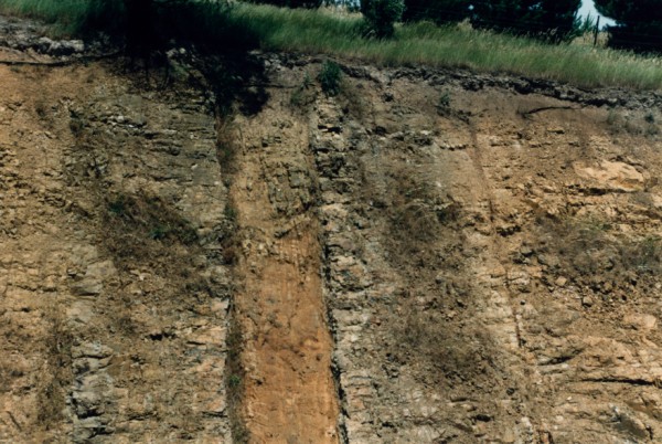 Weathered dyke in Humevale Formation, Merriang, Victoria, Australia