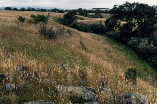 Incised channel of Merri Creek with alluvial and rock terraces, Merriang, Victoria, Australia