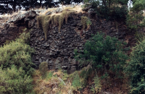 Vertical and inclined basalt columns at Northcote Park Football Ground