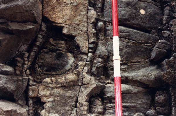 Weathered columnar basalt at Creek Parade Site, Clifton Hill, Victoria Australia