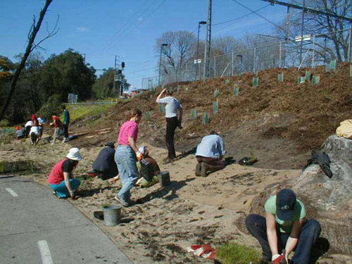 Planting and BBQ day near Rushall Station, North Fitzroy