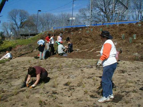 Planting and BBQ day near Rushall Station, North Fitzroy