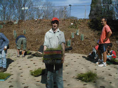 Planting and BBQ day near Rushall Station, North Fitzroy